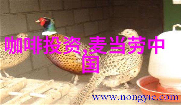 荷兰合作银行下调巴西阿拉比卡咖啡产量至4270万袋